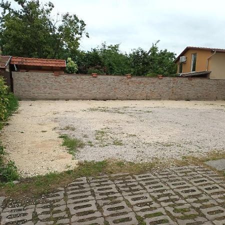 Pilota Panzio Bed & Breakfast Seghedin Exterior foto
